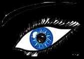 eye