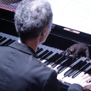 solo