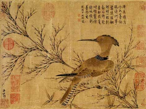 solitarybird
